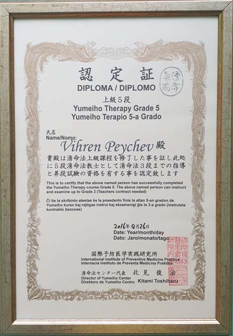 Diplom_Wihren_Peichev