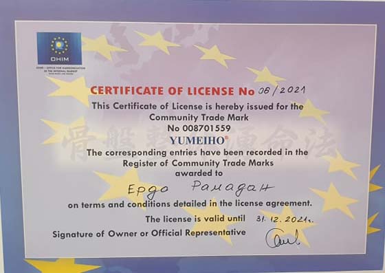 Diplom_Wihren_Peichev